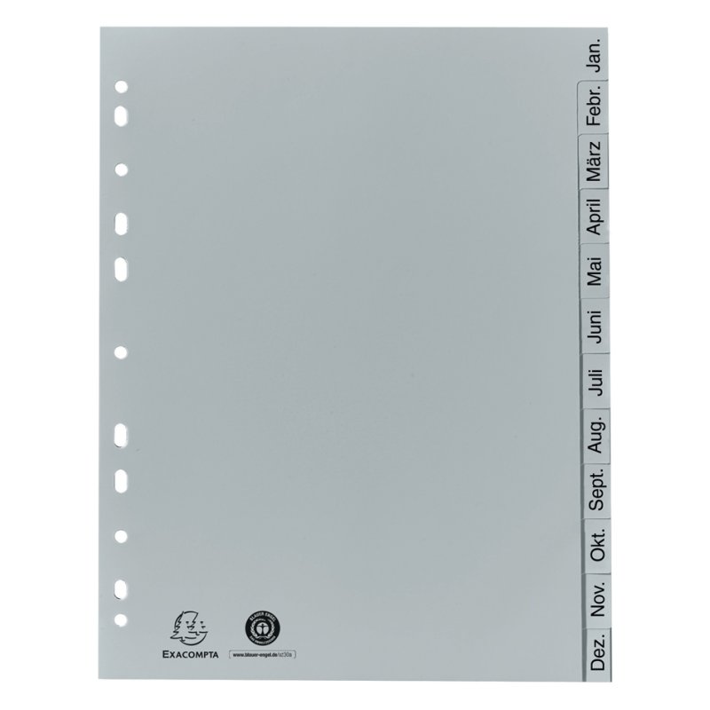 EXACOMPTA plastic maanddividers A4, grijs, 12-delig, recycling-PP